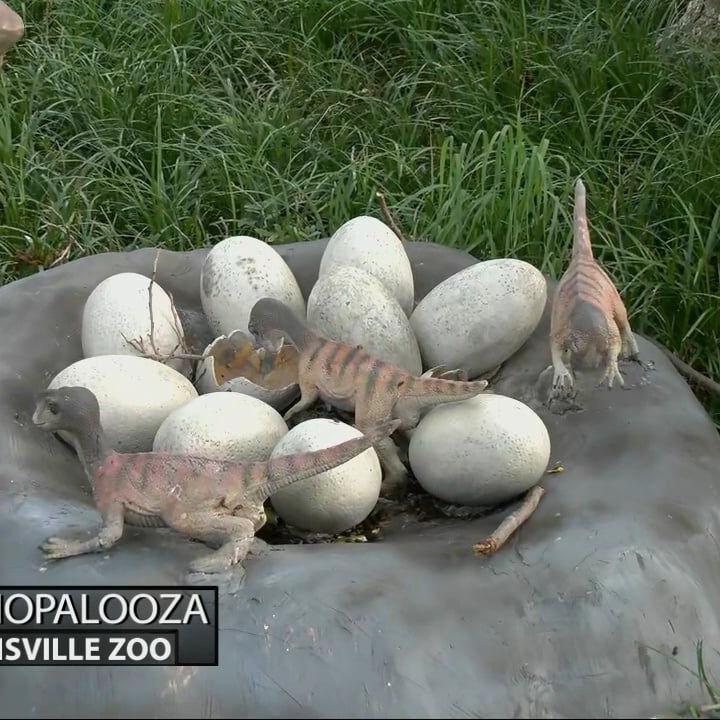 Keith Kaiser discovers some oviraptor eggs at Dinopalooza